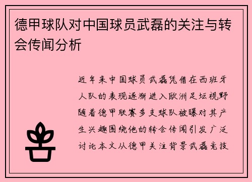 德甲球队对中国球员武磊的关注与转会传闻分析